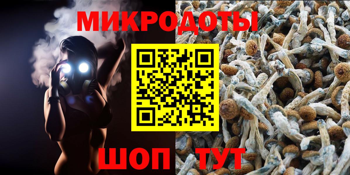 Гусиноозёрск  Галлюциногенные грибы Psilocybine cubensis  Вход с VPN  Псилоцибиновые грибы MAGIC MUSHROOMS 
