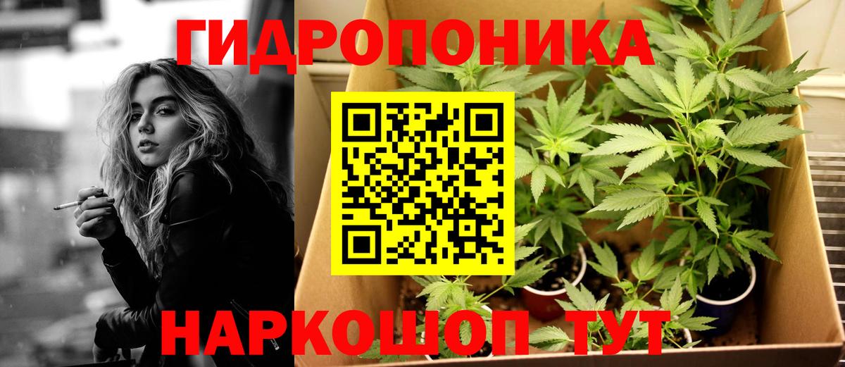 Конопля марихуана  Вход с VPN  Бошки Шишки план  Гусиноозёрск  Бошки марихуана семена  МАРИХУАНА гибрид 